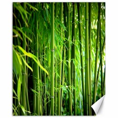 Bamboo Canvas 16  X 20  (unframed) by Siebenhuehner