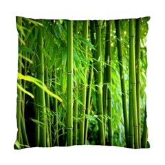 Bamboo Cushion Case (single Sided)  by Siebenhuehner