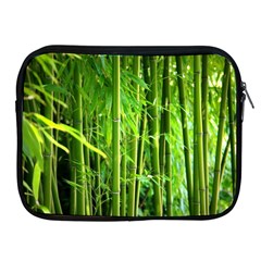 Bamboo Apple Ipad 2/3/4 Zipper Case by Siebenhuehner