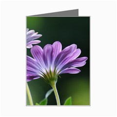 Flower Mini Greeting Card by Siebenhuehner