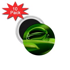 Waterdrop 1 75  Button Magnet (10 Pack) by Siebenhuehner