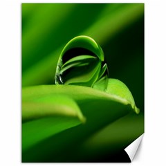 Waterdrop Canvas 12  X 16  (unframed) by Siebenhuehner