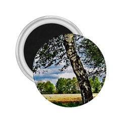 Trees 2 25  Button Magnet by Siebenhuehner