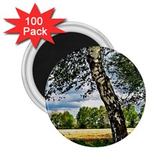 Trees 2 25  Button Magnet (100 Pack) by Siebenhuehner