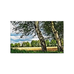 Trees Sticker 10 Pack (rectangle) by Siebenhuehner