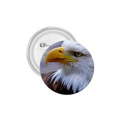 Bald Eagle 1 75  Button by Siebenhuehner