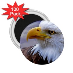 Bald Eagle 2 25  Button Magnet (100 Pack) by Siebenhuehner