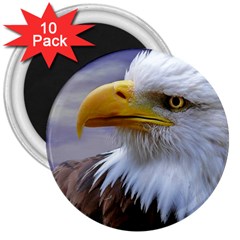 Bald Eagle 3  Button Magnet (10 Pack) by Siebenhuehner