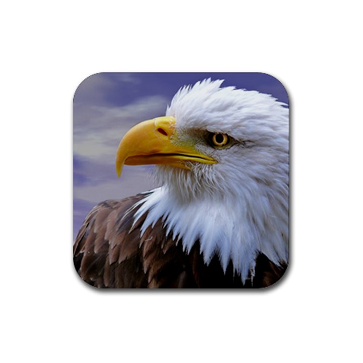 Bald Eagle Drink Coaster (Square)