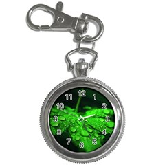 Waterdrops Key Chain & Watch by Siebenhuehner