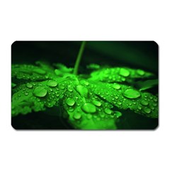 Waterdrops Magnet (rectangular) by Siebenhuehner