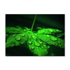 Waterdrops A4 Sticker 100 Pack by Siebenhuehner