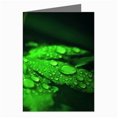 Waterdrops Greeting Card (8 Pack) by Siebenhuehner