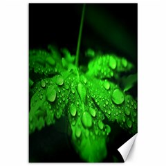 Waterdrops Canvas 12  X 18  (unframed) by Siebenhuehner