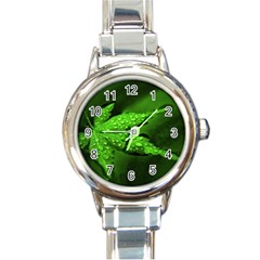 Leaf With Drops Round Italian Charm Watch