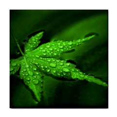 Leaf With Drops Ceramic Tile