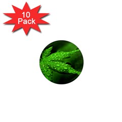 Leaf With Drops 1  Mini Button Magnet (10 pack)