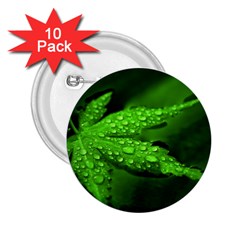 Leaf With Drops 2.25  Button (10 pack)