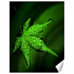 Leaf With Drops Canvas 18  X 24  (unframed)