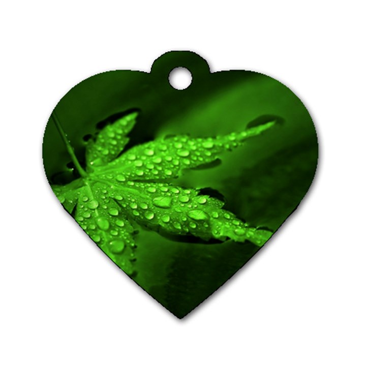 Leaf With Drops Dog Tag Heart (Two Sided)