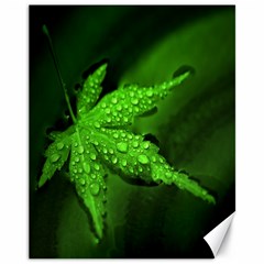 Leaf With Drops Canvas 11  X 14  (unframed) by Siebenhuehner