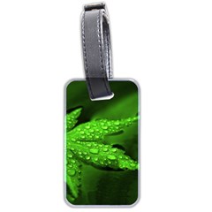 Leaf With Drops Luggage Tag (two Sides) by Siebenhuehner