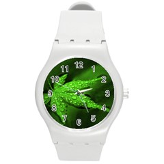 Leaf With Drops Plastic Sport Watch (Medium)