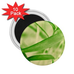 Bamboo 2 25  Button Magnet (10 Pack) by Siebenhuehner