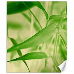 Bamboo Canvas 20  X 24  (unframed)