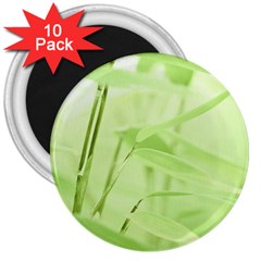 Bamboo 3  Button Magnet (10 Pack)