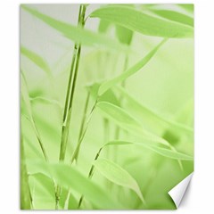 Bamboo Canvas 8  X 10  (unframed) by Siebenhuehner