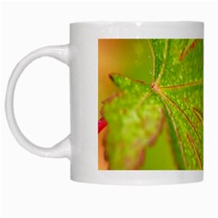 Leaf White Coffee Mug by Siebenhuehner