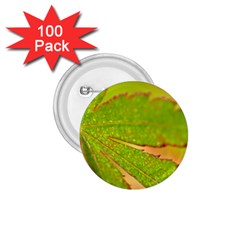 Leaf 1 75  Button (100 Pack) by Siebenhuehner