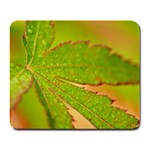 Leaf Large Mouse Pad (Rectangle) Front