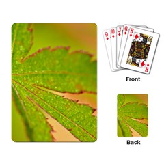 Leaf Playing Cards Single Design by Siebenhuehner