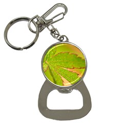 Leaf Bottle Opener Key Chain by Siebenhuehner