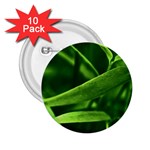 Bamboo 2.25  Button (10 pack) Front