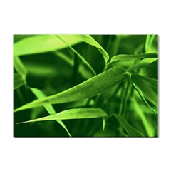 Bamboo A4 Sticker 10 Pack