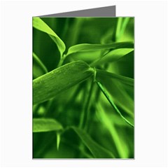 Bamboo Greeting Card