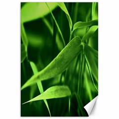 Bamboo Canvas 20  X 30  (unframed) by Siebenhuehner