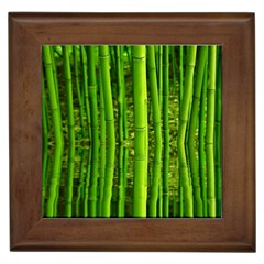 Bamboo Framed Ceramic Tile by Siebenhuehner