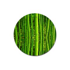 Bamboo Magnet 3  (round) by Siebenhuehner