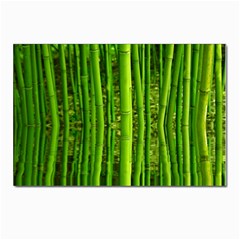 Bamboo Postcard 4 x 6  (10 Pack) by Siebenhuehner