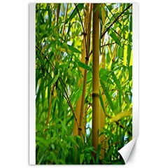 Bamboo Canvas 20  X 30  (unframed) by Siebenhuehner