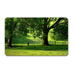 Trees Magnet (rectangular) by Siebenhuehner