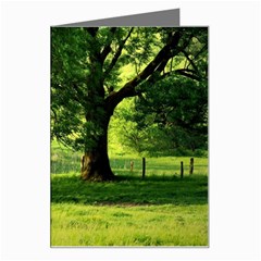 Trees Greeting Card by Siebenhuehner