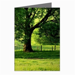 Trees Greeting Card (8 Pack) by Siebenhuehner