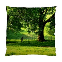 Trees Cushion Case (two Sided)  by Siebenhuehner