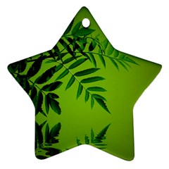 Leaf Star Ornament (two Sides) by Siebenhuehner