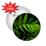 Leaf 2.25  Button (10 pack) Front